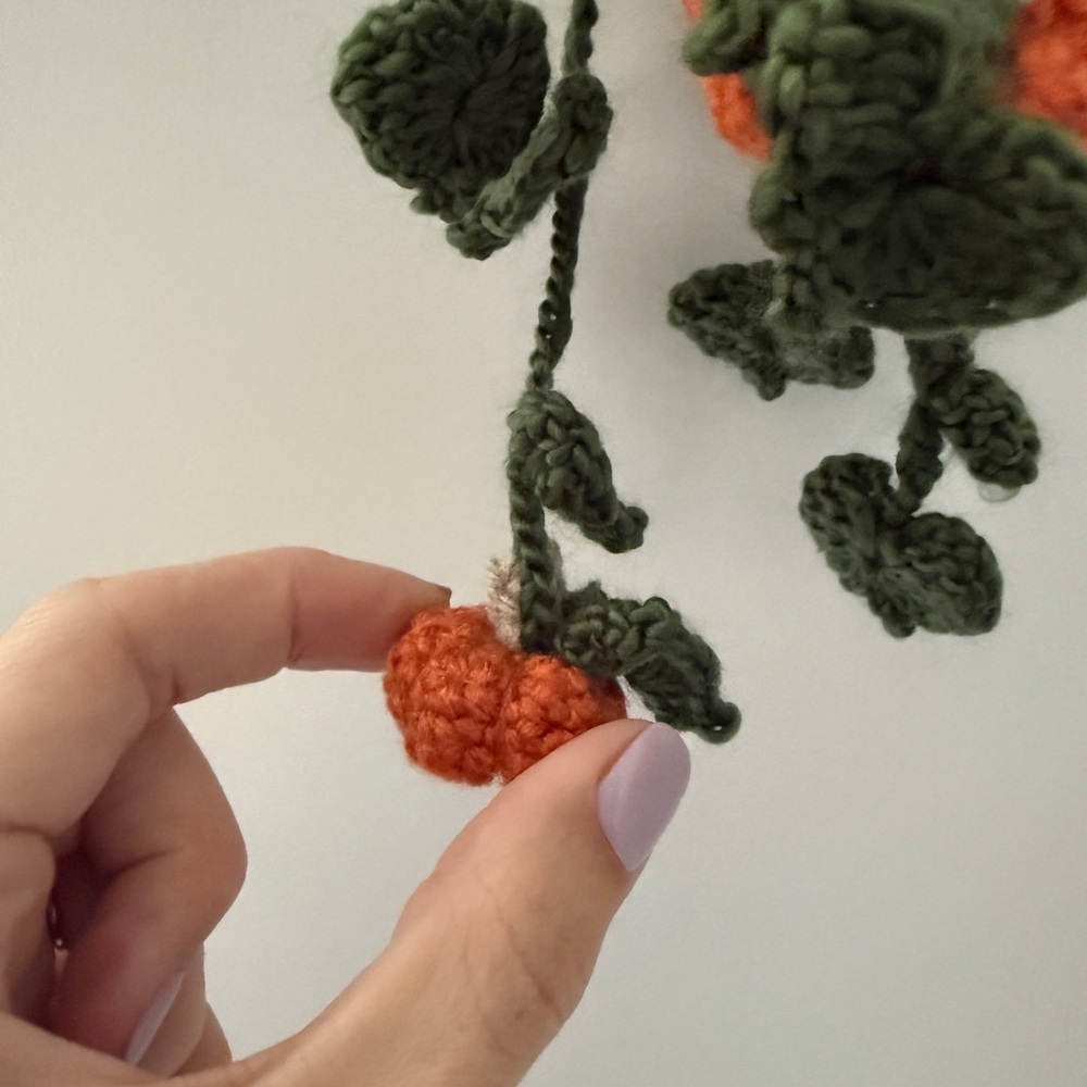Crochet Plant Hanger with pumpkins 🎃 - Picture 3 of 6